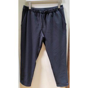 LULULEMON women's ankle pants - size large or size 10